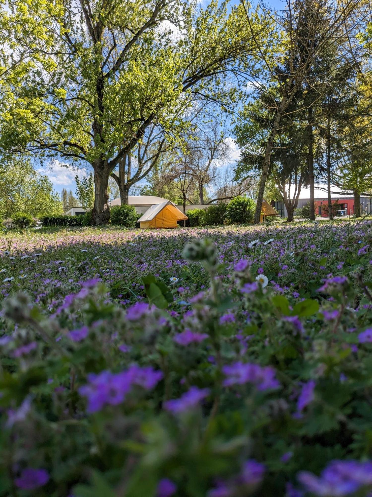 Camping Onlycamp Tours Val De Loire Saint-Avertin Εξωτερικό φωτογραφία